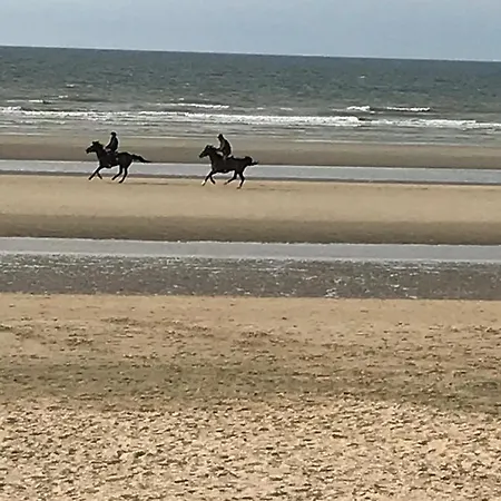 86 Zeedijk Apartment De Panne